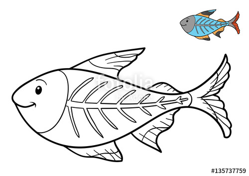 500x354 coloring book, x ray fish stock photo and royalty free images - X Ray Fish Drawing