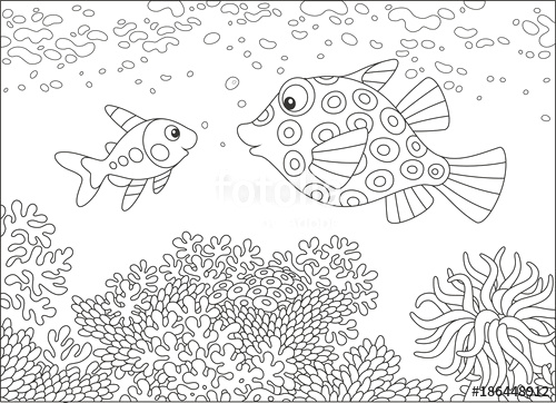500x362 easy to draw cartoon fish a funny boxfish and an x ray fish - X Ray Fish Drawing