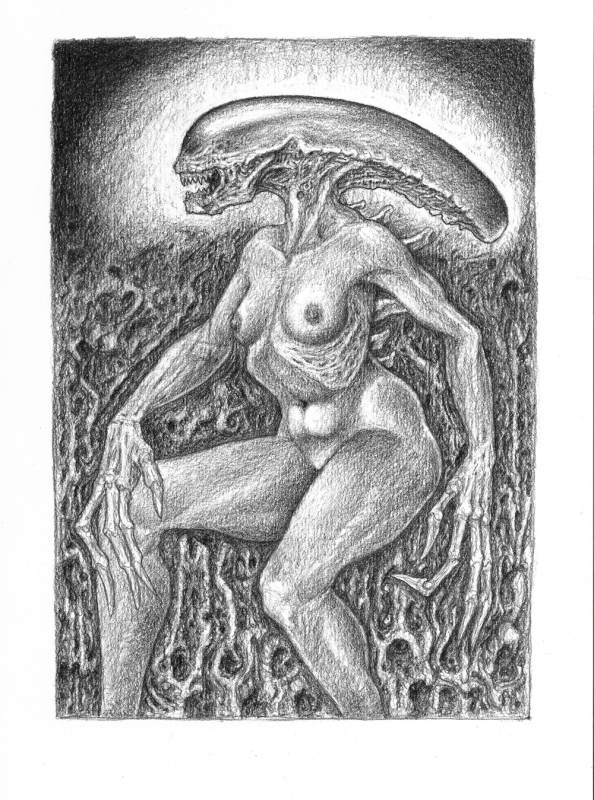 594x800 Glenn Fagertveit - Xenomorph Drawing