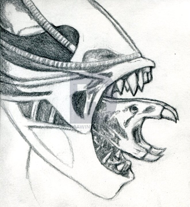 661x720 How To Draw An Xenomorph, Alien, Step - Xenomorph Drawing