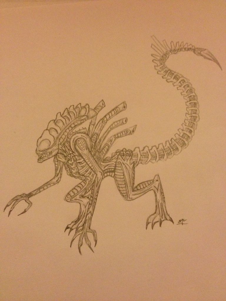 768x1024 How To Draw A Xenomorph - Xenomorph Drawing