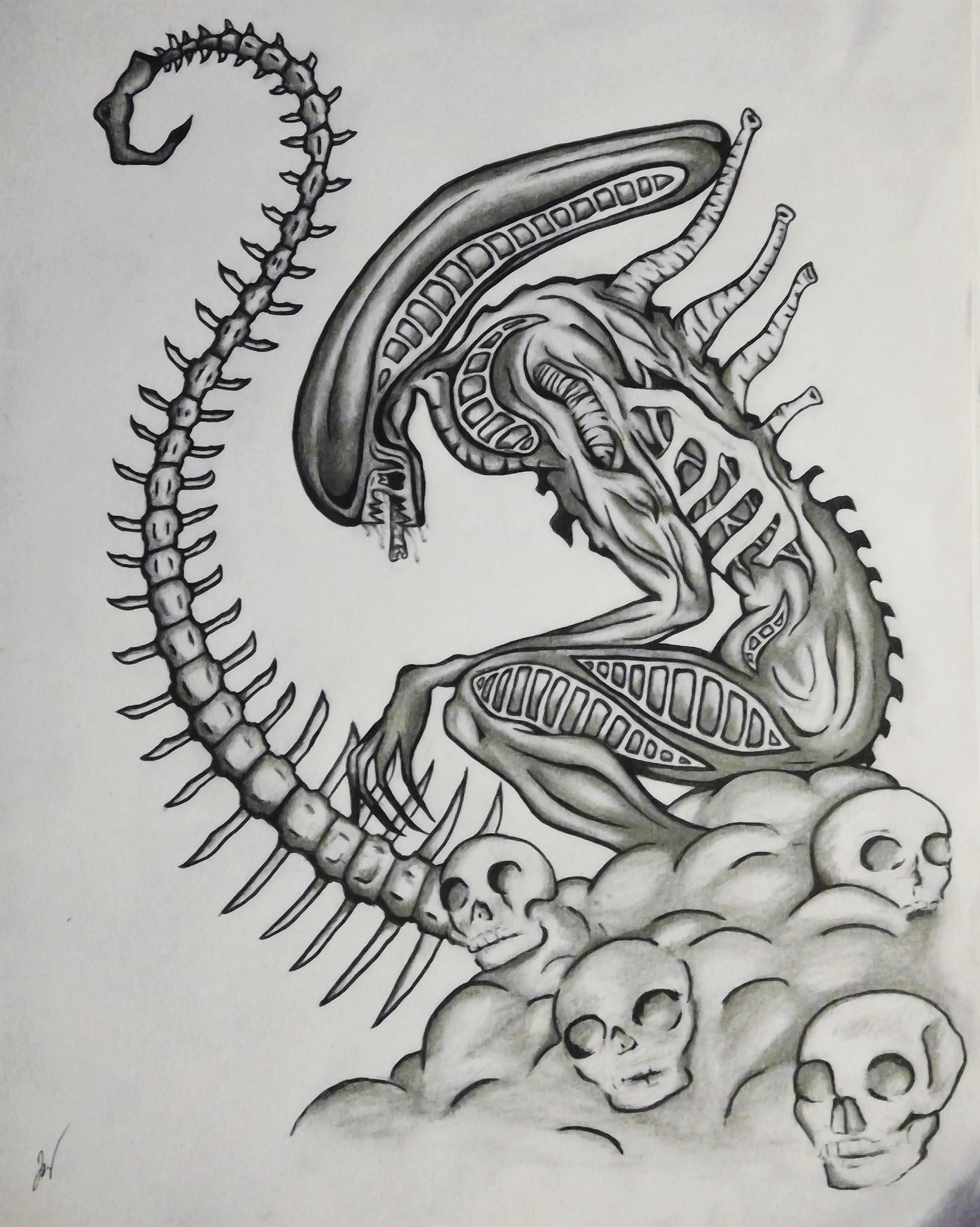 Xenomorph Drawing at PaintingValley.com | Explore collection of ...