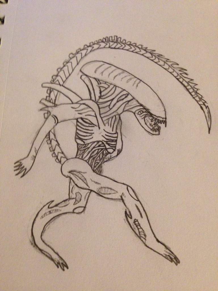 768x1024 My First Decent Xenomorph Drawing Alien Versus Predator Universe - Xenomorph Drawing