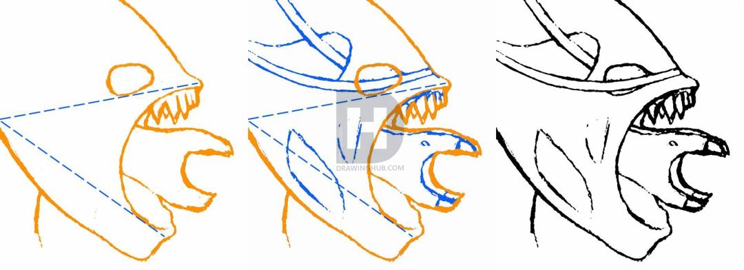 1080x392 How To Draw An Xenomorph, Alien, Step - Xenomorph Drawing Easy