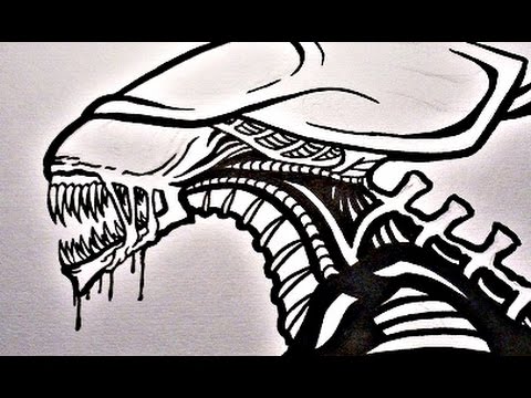 Xenomorph Drawing Easy At Paintingvalleycom Explore - xenomorph alien vs predator drawing