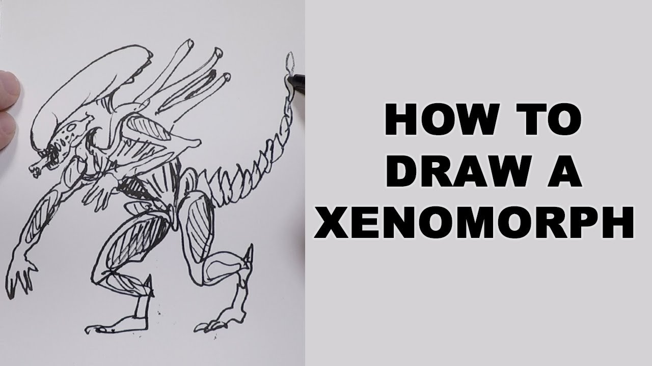 1280x720 How To Draw A Xenomorph - Xenomorph Drawing Easy