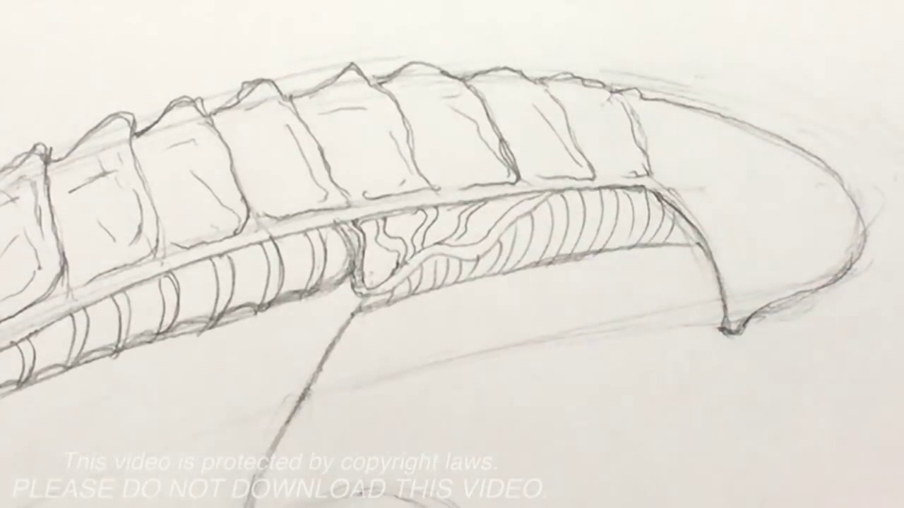 1280x720 How To Draw An Alien Xenomorph - Xenomorph Drawing Easy