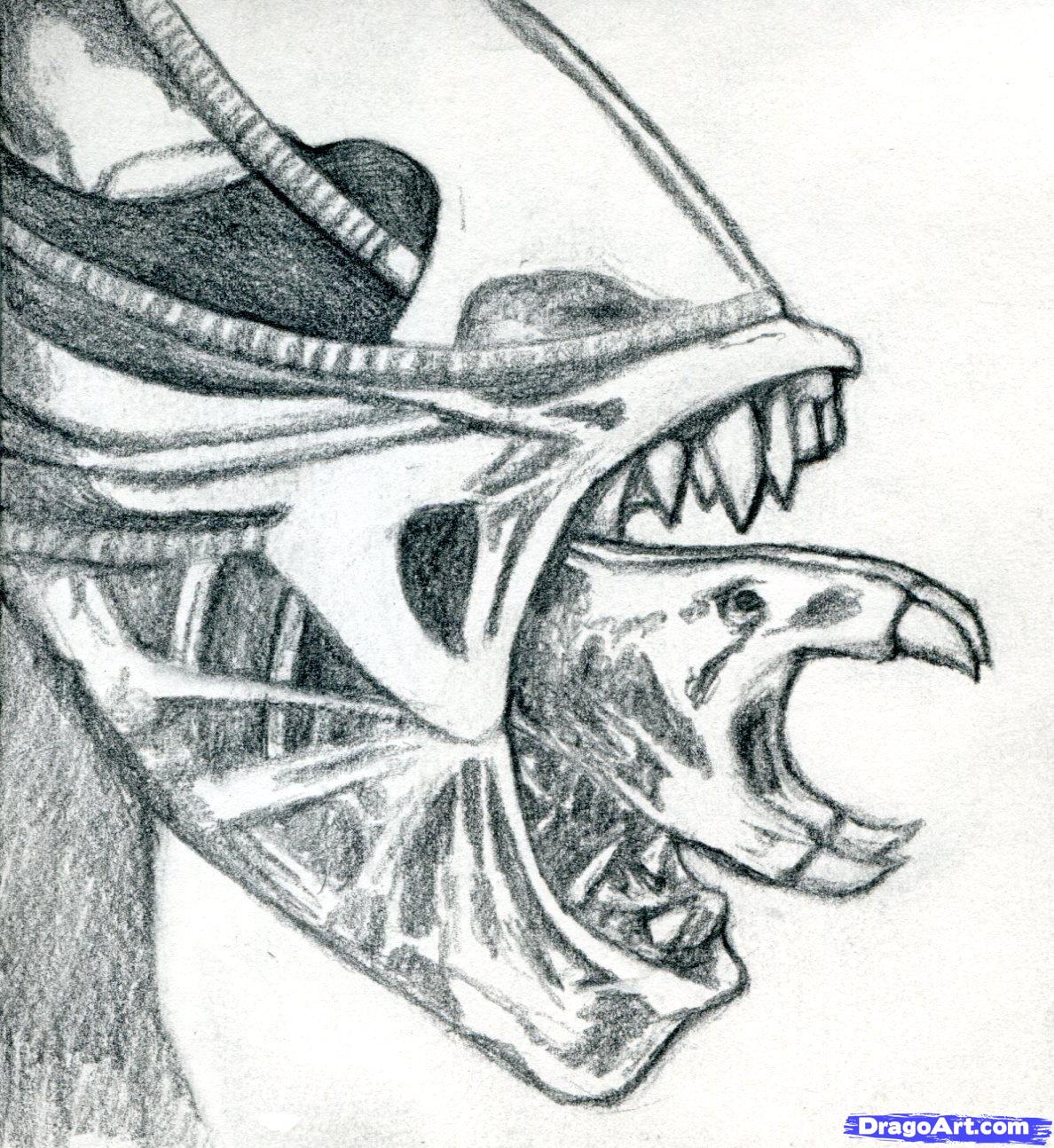 Xenomorph Drawing Easy at Explore collection of