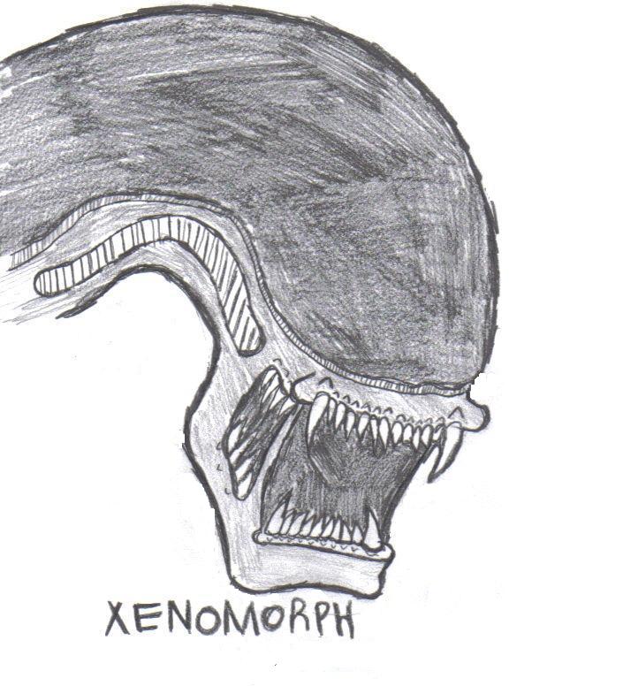 705x776 Xenomorph Drawing - Xenomorph Drawing Easy