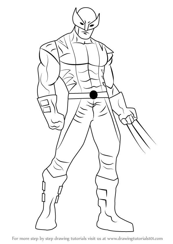 597x844 Learn How To Draw Wolverine From X Men - Xmen Drawing