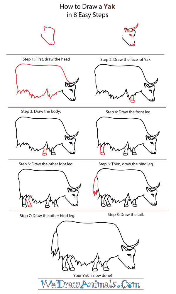 600x1001 How To Draw A Yak - Yak Drawing