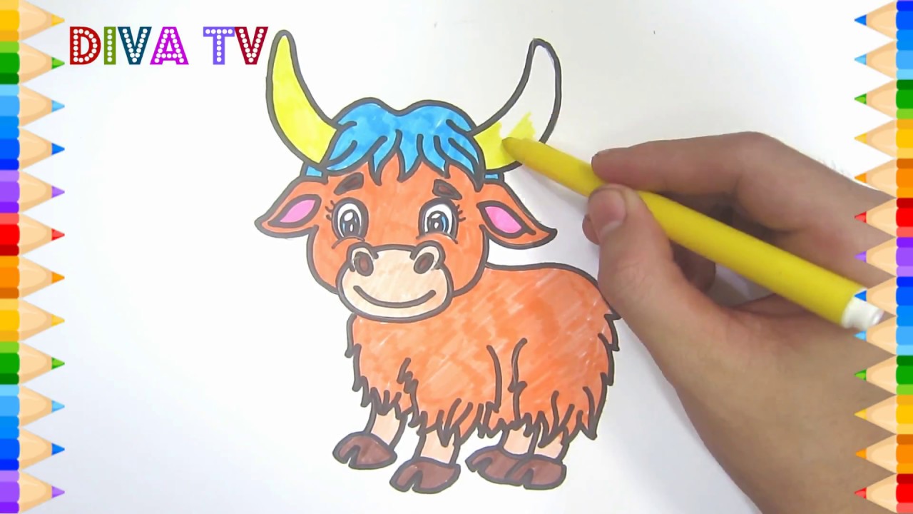 1280x720 How To Draw Cute Yak Drawing Tutorial Step - Yak Drawing