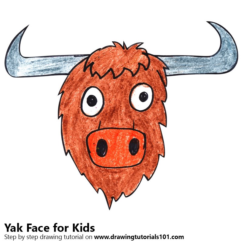 800x800 Learn How To Draw A Yak Face For Kids - Yak Drawing