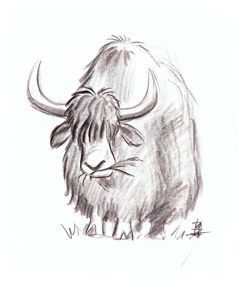 Yak Drawing at Explore collection of Yak Drawing