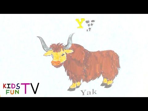 480x360 Coloring Pages How To Color Yak Drawing Alphabet Y For Kids Fun - Yak Drawing
