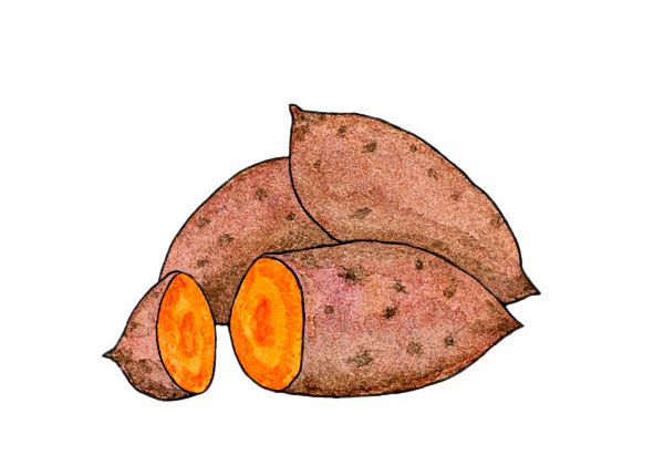 600x411 Ways To Turn Your Thanksgiving Leftovers Into New Dishes Art - Yam Drawing