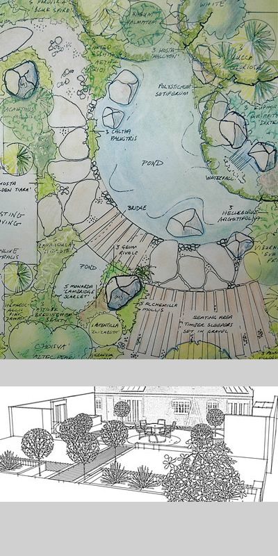400x800 garden survey and design drawings plan view and david - Yard Drawing