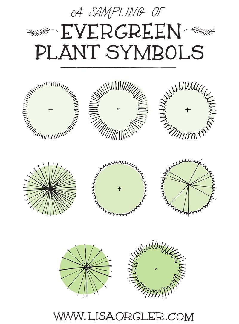 800x1085 jul drawing plant symbols practice sheet outdoor ideas - Yard Drawing