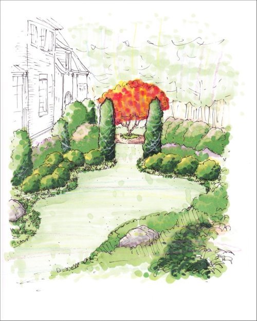 500x625 perspective drawings - Yard Drawing