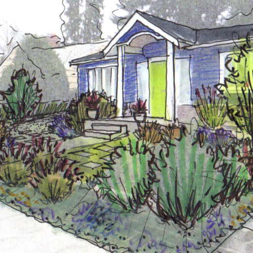 520x520 garden drawing drawntogarden - Yard Drawing