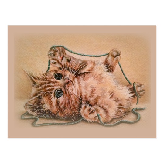 540x540 kitten with yarn drawing, pet cat art illustration postcard - Yarn Drawing