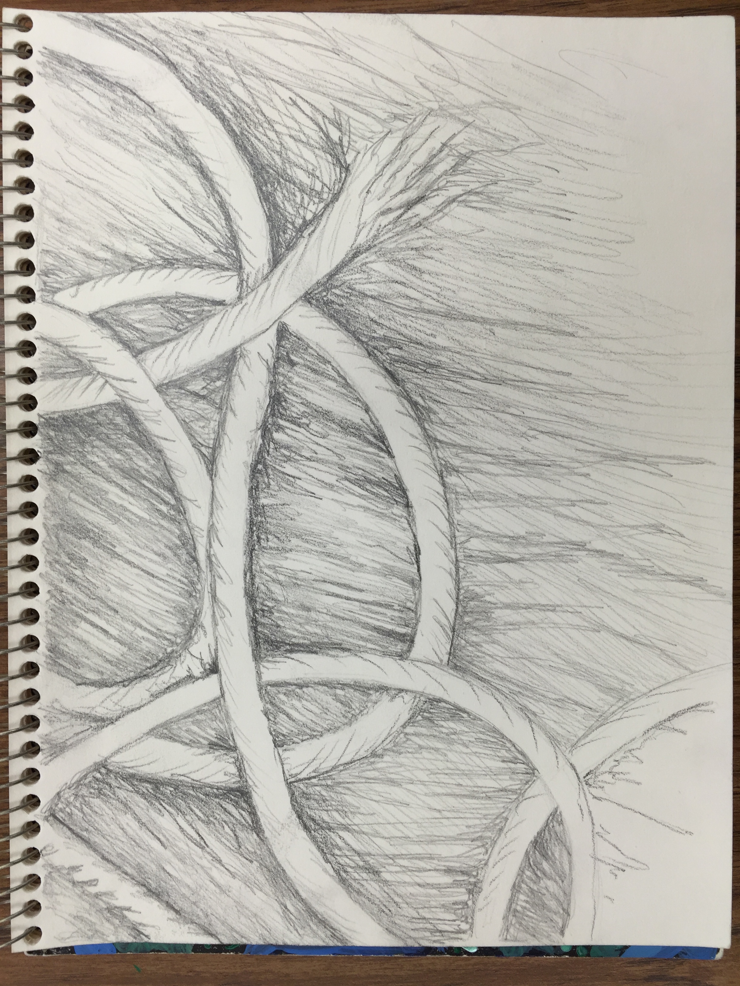 2448x3264 the smartteacher resource yarn drawing - Yarn Drawing