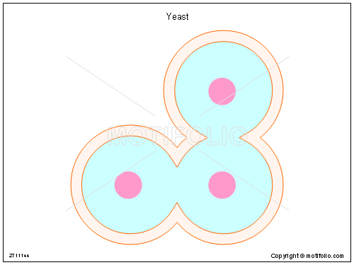 500x375 yeast illustrations - Yeast Drawing