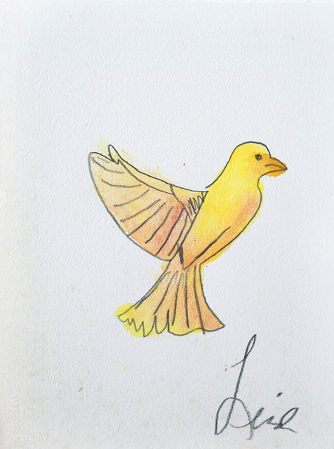 476x640 linda - Yellow Bird Drawing