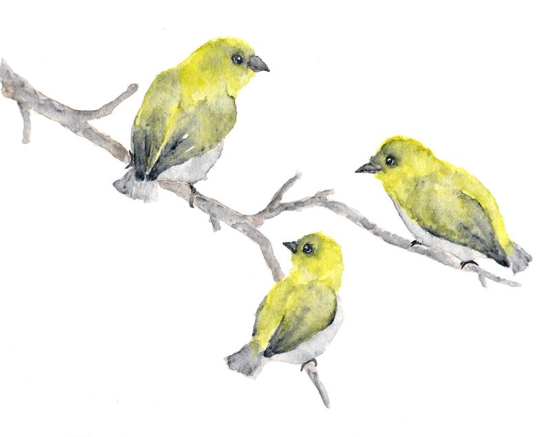 794x635 watercolor bird painting bird art yellow birds nature etsy - Yellow Bird Drawing