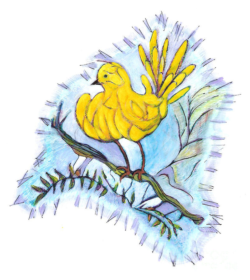 803x900 yellow bird drawing - Yellow Bird Drawing