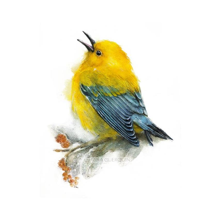 794x794 yellow bird giclee print of watercolor painting bird art etsy - Yellow Bird Drawing