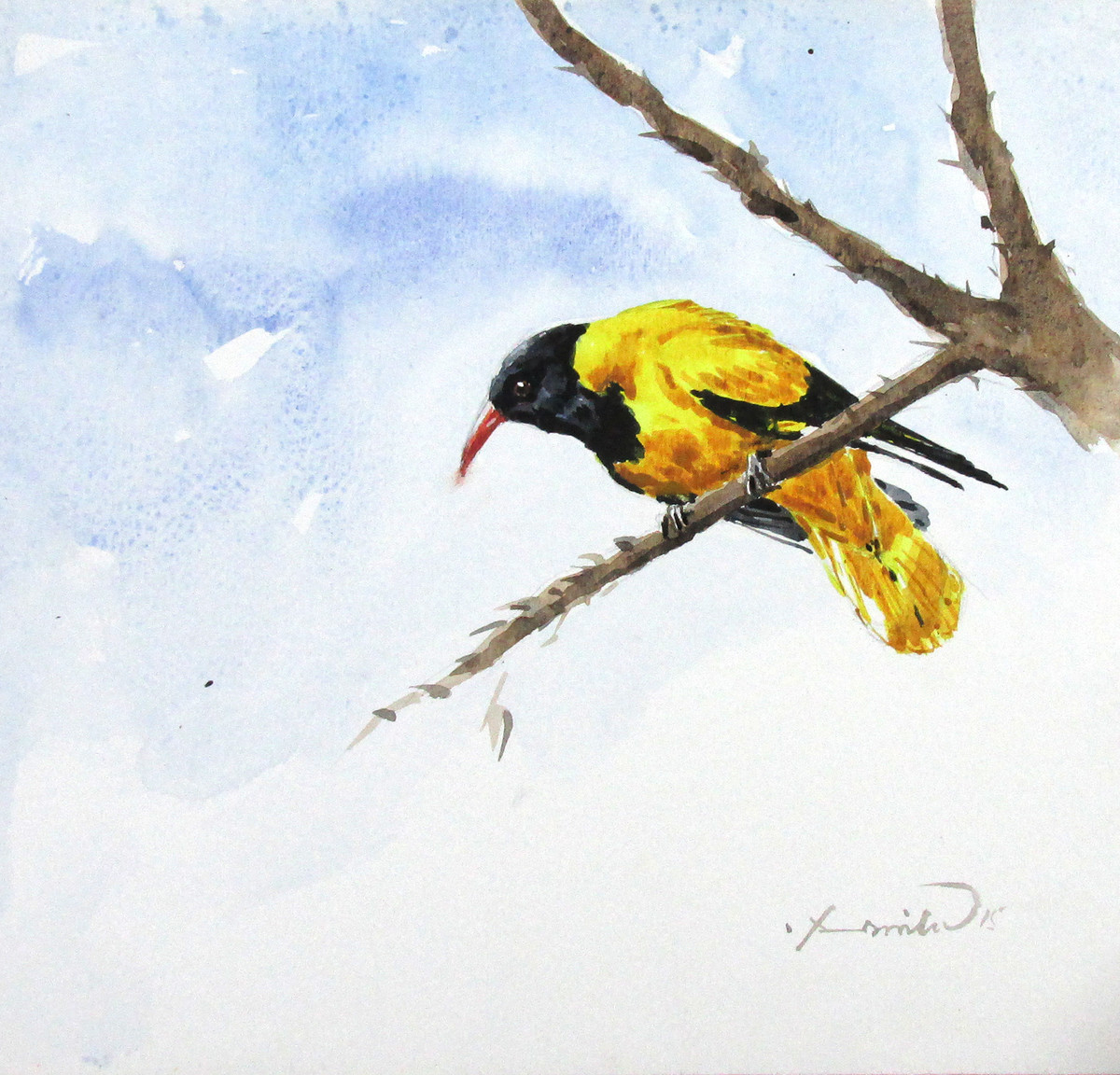 1200x1152 yellow bird - Yellow Bird Drawing