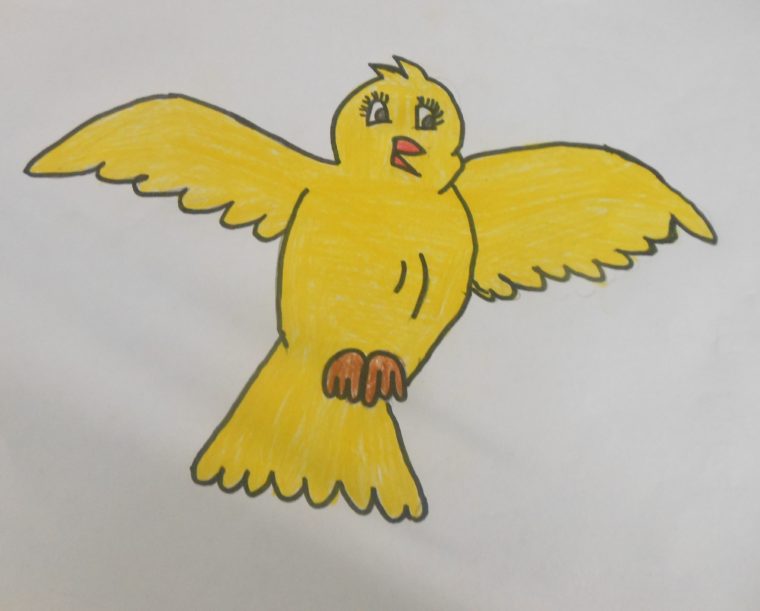 760x611 something yellow - Yellow Bird Drawing