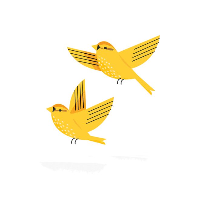 650x650 yellow birds illustrated - Yellow Bird Drawing