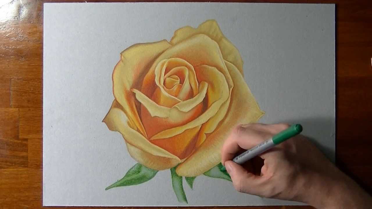 1280x720 how to draw a yellow rose - Yellow Drawings