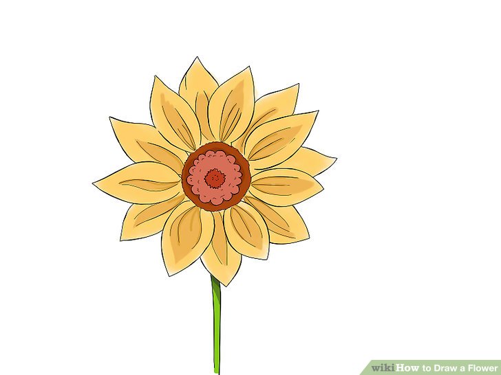 Yellow Flower Drawing