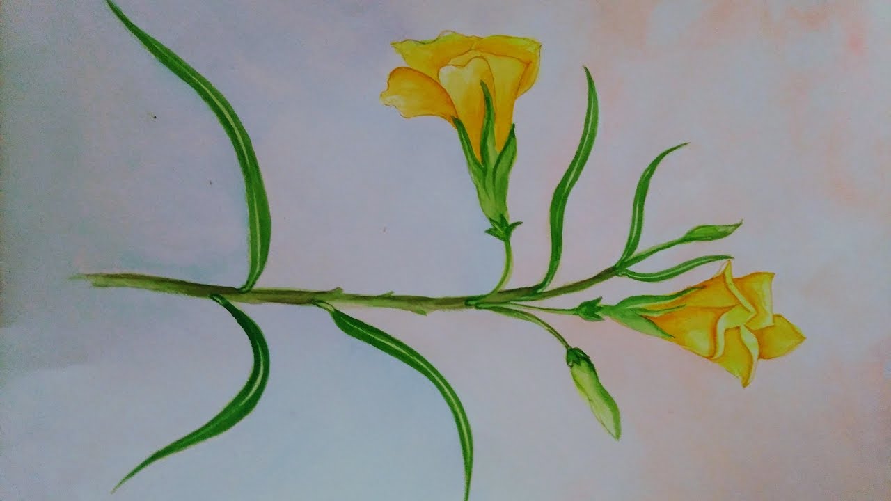 1280x720 how to draw and paint transparently yellow kaner - Yellow Flower Drawing