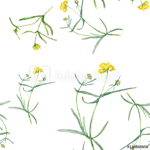 500x500 pattern yellow flowers drawing watercolor small grasses - Yellow Flower Drawing