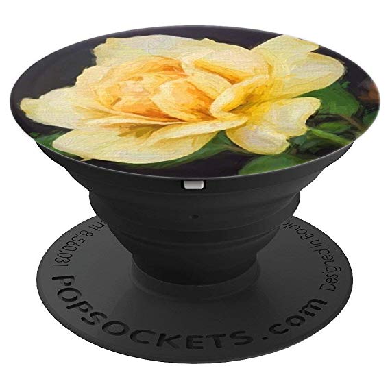 569x569 yellow rose flower painting - Yellow Flower Drawing