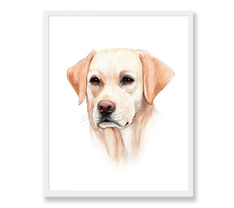 794x706 labrador retriever art lab dog watercolor painting print etsy - Yellow Lab Drawing