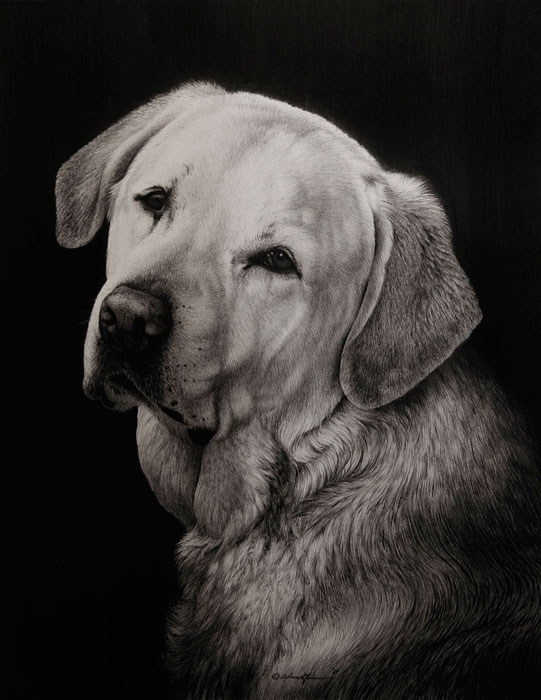 541x700 memorial yellow lab drawing - Yellow Lab Drawing