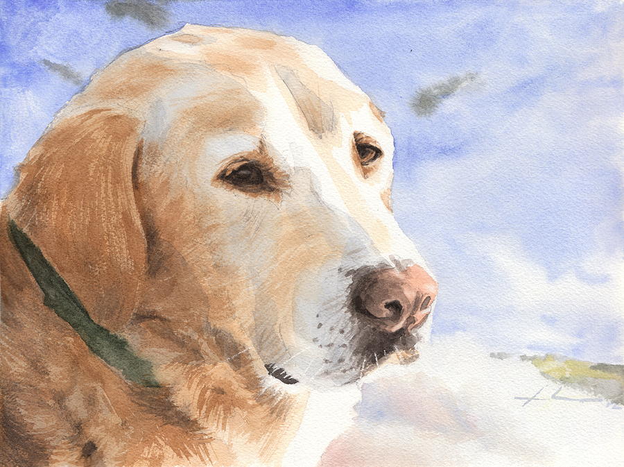 900x673 yellow lab in snow watercolor portrait drawing - Yellow Lab Drawing