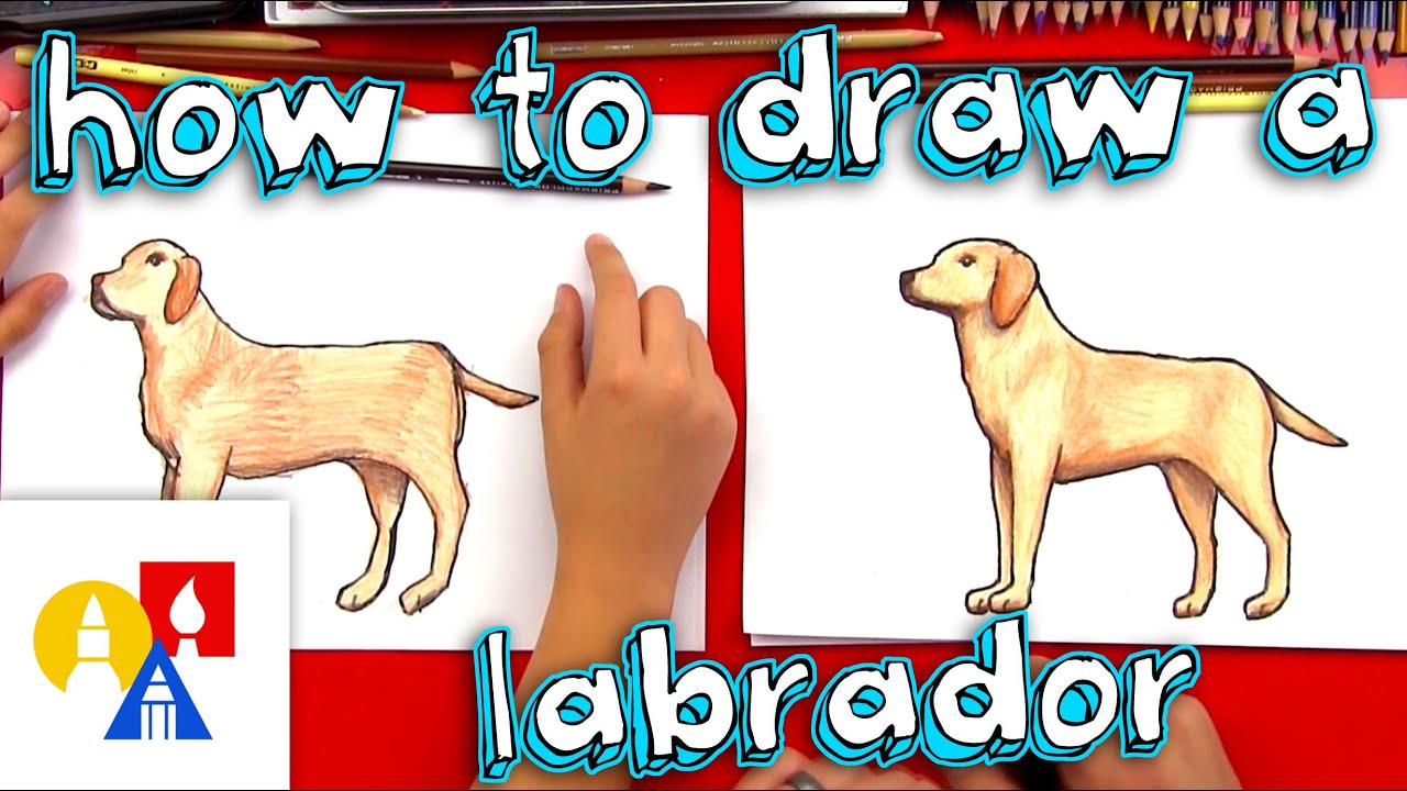 1280x720 How To Draw A Yellow Labrador - Yellow Lab Drawing