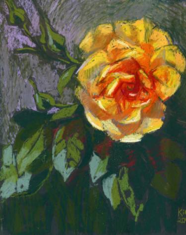375x475 Yellow Rose Drawing - Yellow Rose Drawing