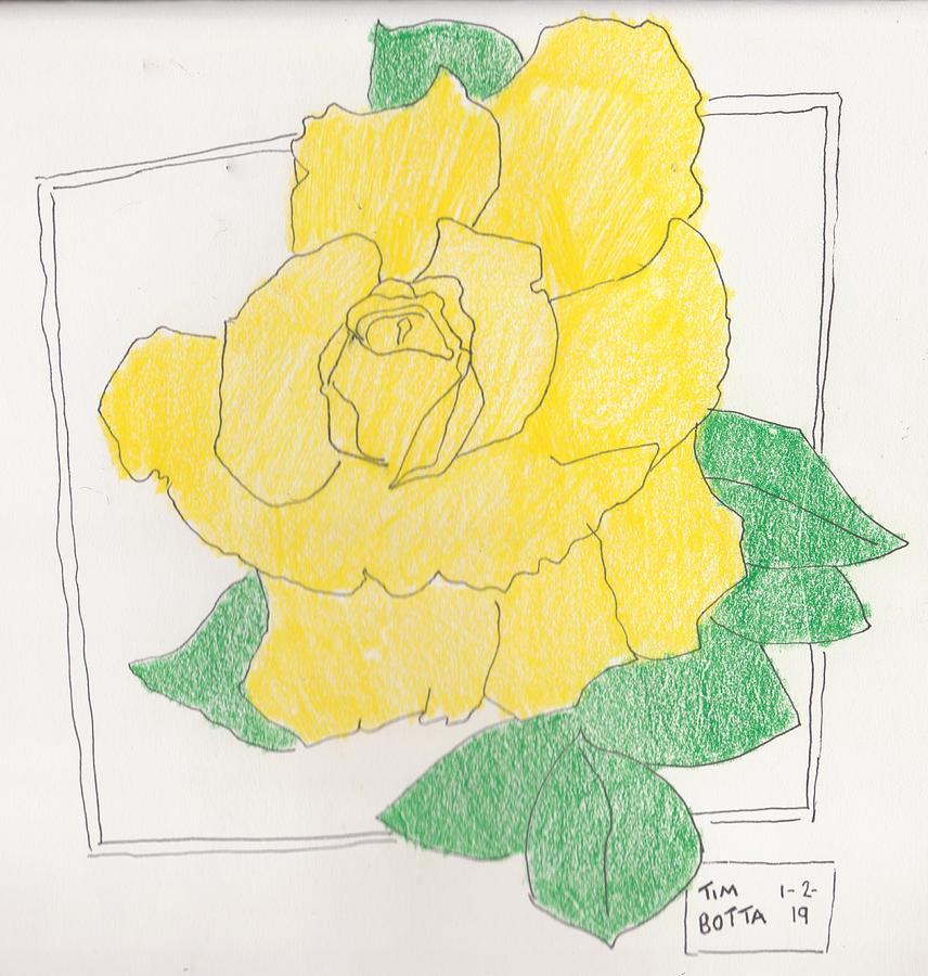 856x900 Yellow Rose Drawing - Yellow Rose Drawing
