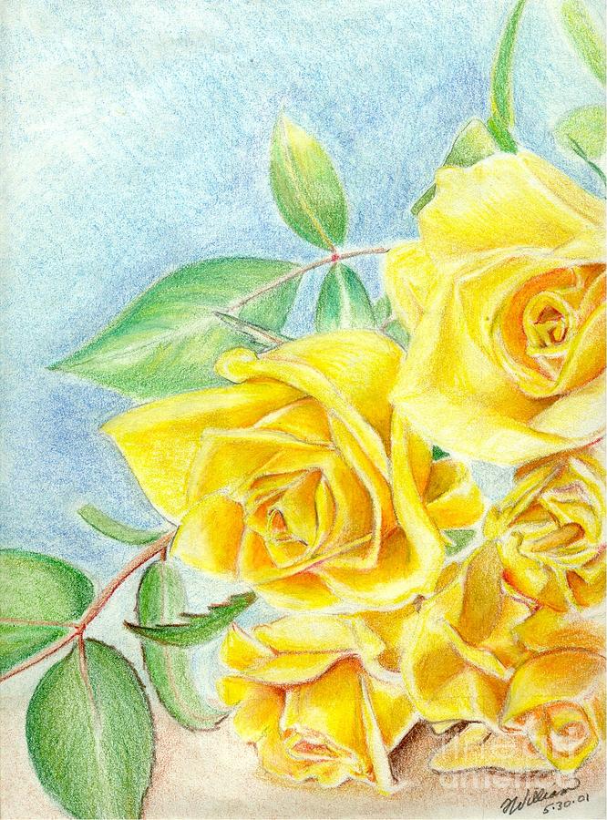 666x900 Yellow Roses Drawing - Yellow Rose Drawing