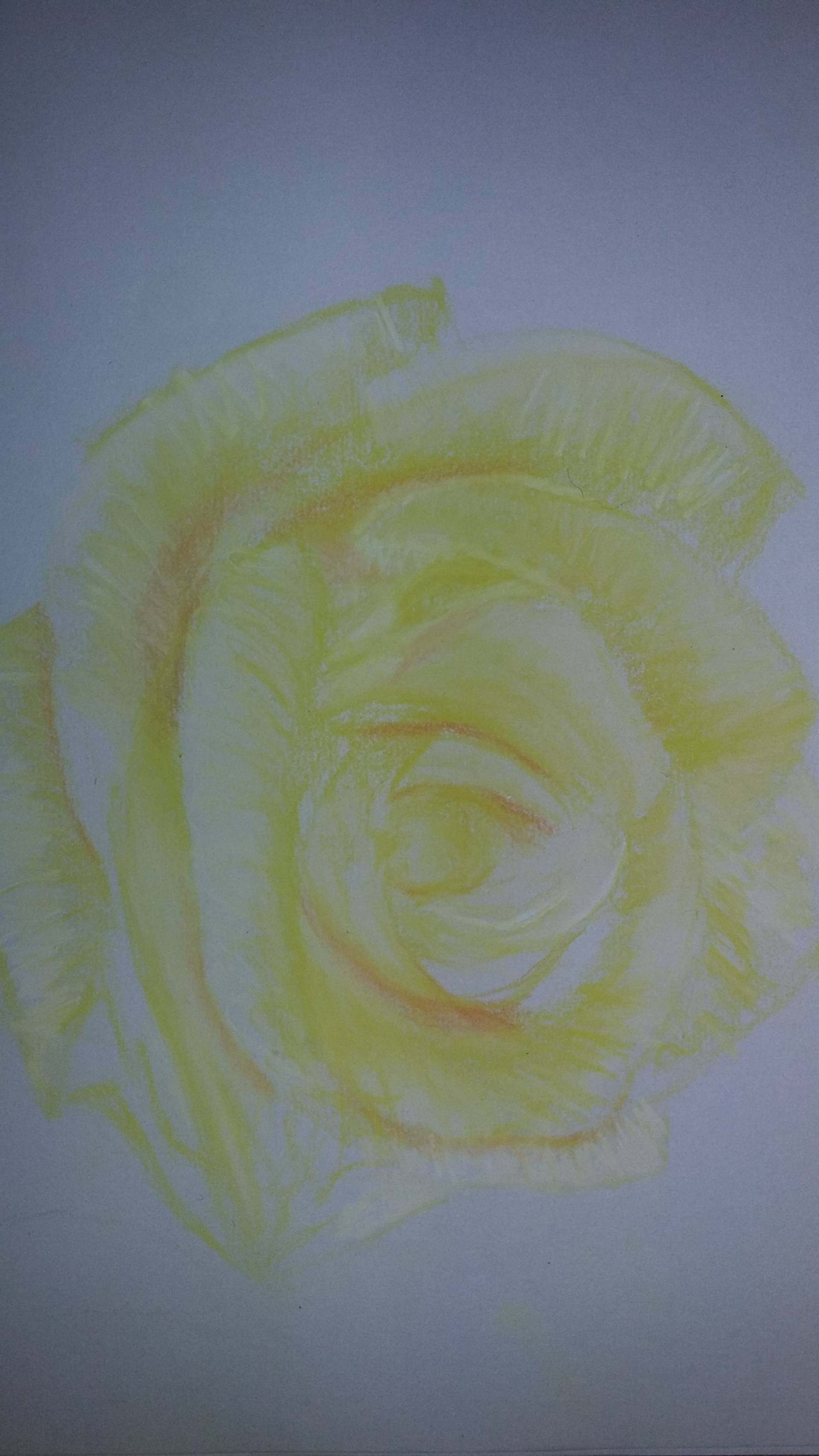 1920x3413 Yellow Rose Drawing - Yellow Rose Drawing