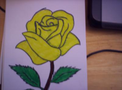 400x297 Rose Drawing - Yellow Rose Drawing