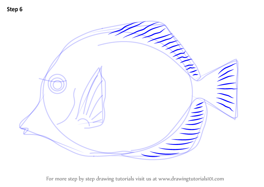 846x600 learn how to draw a yellow tang - Yellow Tang Drawing