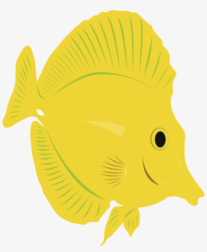 820x999 yellow tang drawing at getdrawings - Yellow Tang Drawing